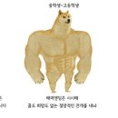 조개터로 네이버블로그