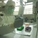 유전제1농로 | [흑사병] 유전체로 제2차 페스트 대유행 유전적 역사 구명