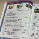 성인 영어 독학 교재 추천! 책 실사용 30일 후기