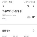 고루 Daum카페