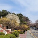 팔달문 안내소 이미지