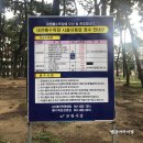 대천해수욕장 공영야영장 이용후기 (ft. 바닷가 캠핑과 차박하기 좋은 곳)