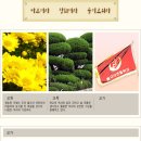 불국사초등학교 이미지