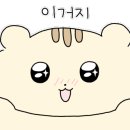 스튜디오이로 이미지