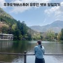 내돈내산 후쿠오카 버스투어 다자이후 유후인 벳부 당일치기