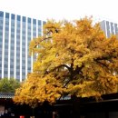 매표소 앞 화장실 이미지