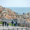울산 대왕암공원 울산제일일보