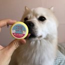 율하 다나동물병원 | [장유 율하2지구 동물병원 추천/내돈내산후기] 율하다나동물병원