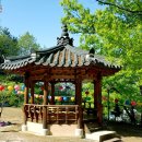 철탄경로당 이미지