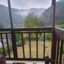 석달열흘가리 이미지