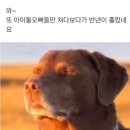 클리닝모니터 이미지