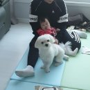강화먹방