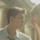 모모댕댕 이미지