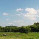 물의 기억 이미지