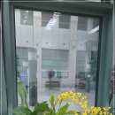 꽃과 식물로 정원가꾸기 이미지