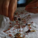 져스트바디 | [워크샵 후기] 저스트프로젝트와 콜라보 워크샵을 준비하고 있어요!