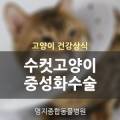 윤혜리한의원 이미지