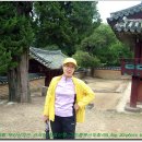 옥산(부산) 이미지