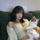 냥냥이네 이미지