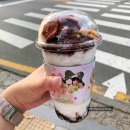 벌레박사 페스트119 | 🌺한국 일상🌺 8월 둘째 주 일기