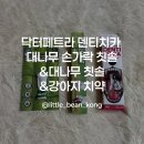 모두덴 | 강아지 입냄새 비린내 제거 방법 덴티치카 치약 칫솔 사용 후기