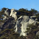 237회 정기답사 (남한강변 폐사지)
