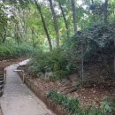 보라매약수터 이미지