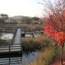 왕송못동로 이미지