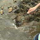 왜목스테이 이미지