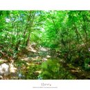 남해-145 이미지