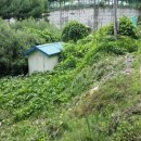 분당-394 이미지