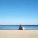 종합여객터미널 이미지