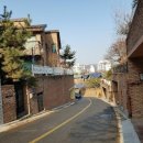 분당-259 이미지