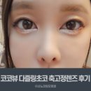 지전 | 코코뷰 삼백안 매일착용 가능한 축고정 삼백안 자연스러운 써클렌즈 다즐링 초코 리뷰