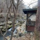 정선 도원펜션&캠핑장 이미지