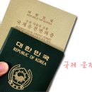 자유국제여행사 이미지