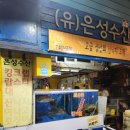홍가몰