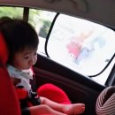 대명MMS