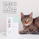 덕희헤어 | 베츠 고양이유산균 데일리면역 고양이프로바이오틱스 급여후기
