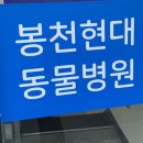 현대동물약품 네이버블로그