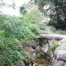 덕교 이미지