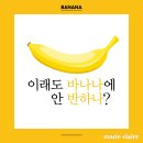바나나 이미지
