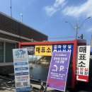 근덕면복지회관 | 한국의 나폴리 삼척 장호항 스노쿨링 주차, 비용, 해파리, 간식, 준비물, 꿀팁