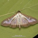 한스행정사사무소 이미지