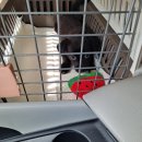 씨디팜(주) | 우리의 첫 가족 오복이