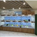 강아지분양 더펫 이미지