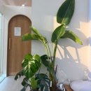 맘스핸즈혁신타워점 | 김천혁신 필라테스 프리미엄 수업 퀄리티와 환경까지 완벽!