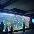 로얄성인PC | 토론토 시티패스 이용하기 (1) 예약 방법, 가격, CN타워 전망대, 아쿠아리움 후기