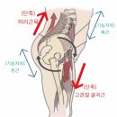 몸매공작소 이미지