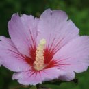 가산농장 이미지